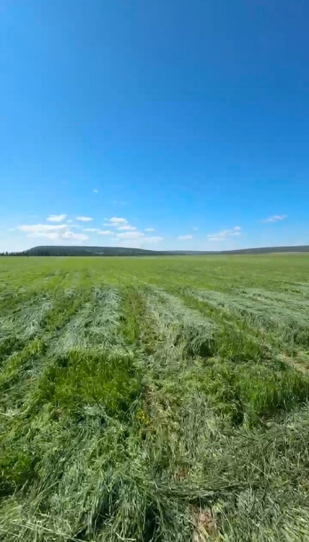 Kladovaya Olekmy 4