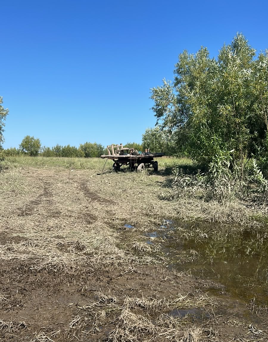 Kladovaya Olekmy 7
