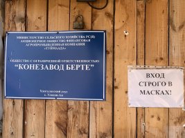 Новый облик якутских сайылыков - у конезавода «Берте»