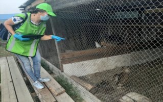 В Якутии 1 августа стартовала сельскохозяйственная микроперепись