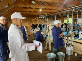 Конезавод «Берте» - победитель конкурса среди дояров в Якутии