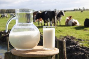 Нэһилиэнньэни сибиэһэй, хаачыстыбалаах бородууксуйанан хааччыйар