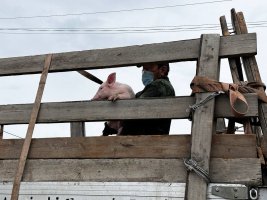 Хатасский свинокомплекс оказал помощь жителям Намского района пострадавшим от паводка