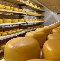 ООО «Кладовая Олекмы»: только натуральная и качественная продукция