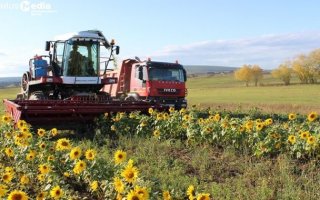ООО «Кладовая Олекмы»: только натуральная и качественная продукция