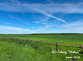 Июль в самом разгаре